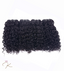 EXOTIC CURLY